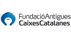fundaciocaixes